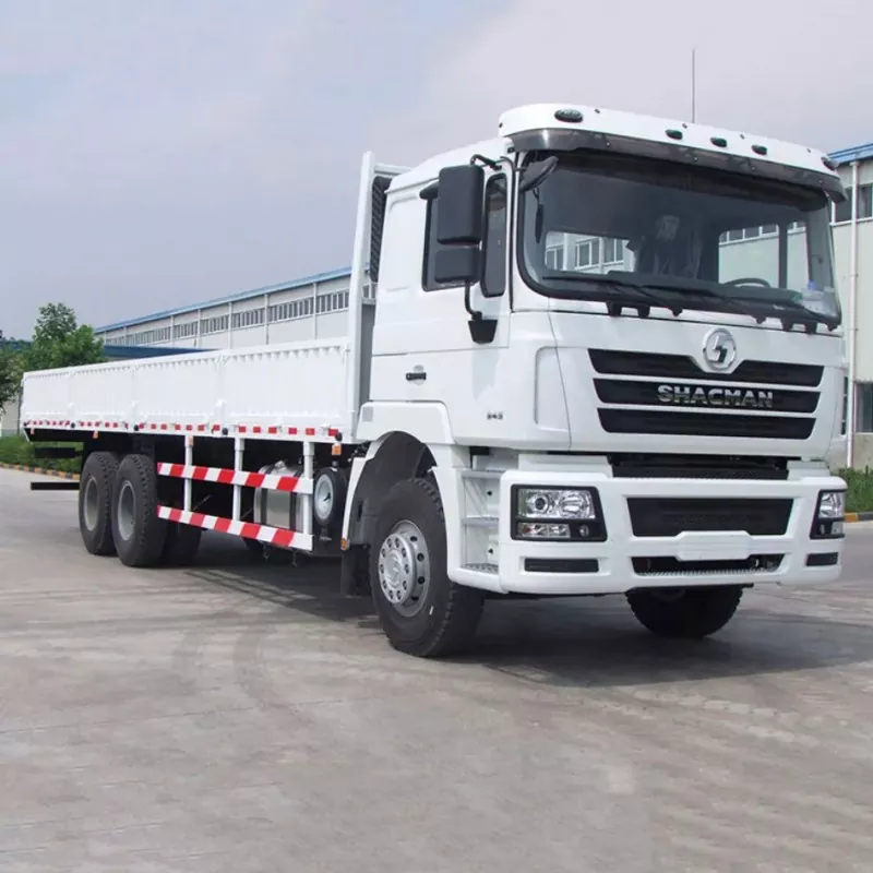 SHACMAN 6x4 Cargo Truck